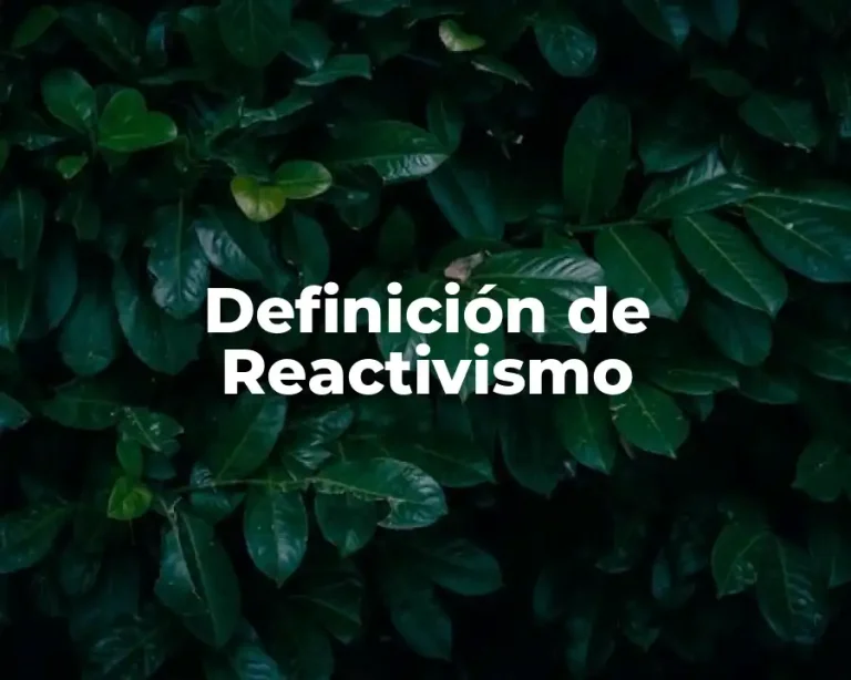 Definición de Reactivismo