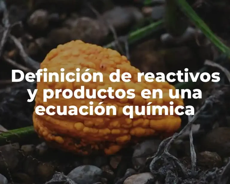 Definición de reactivos y productos en una ecuación química