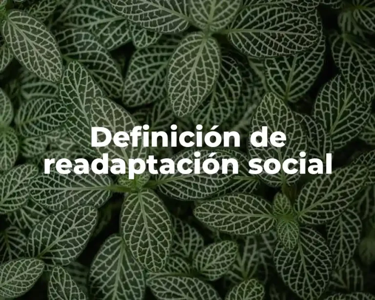 Definición de readaptación social
