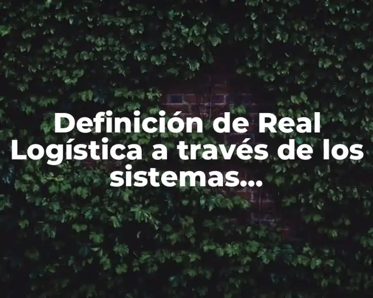 Definición de Real Logística a través de los sistemas socioeconómicos