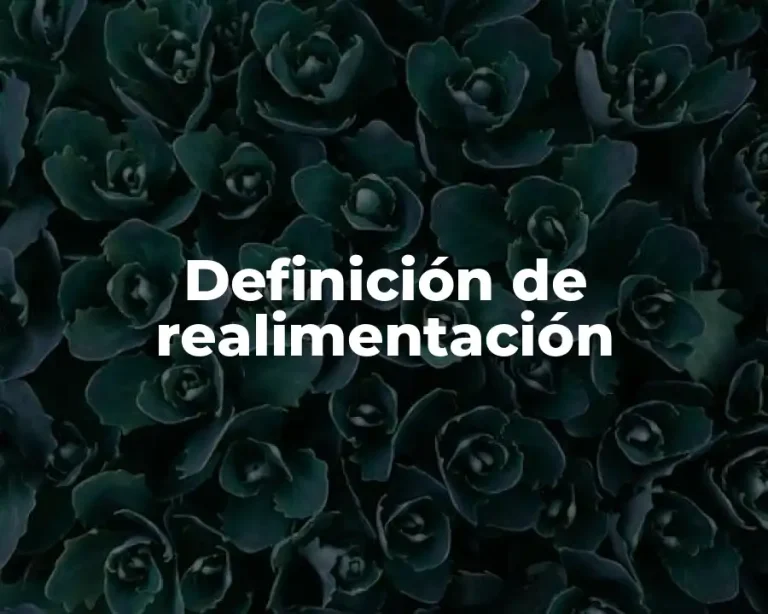Definición de realimentación