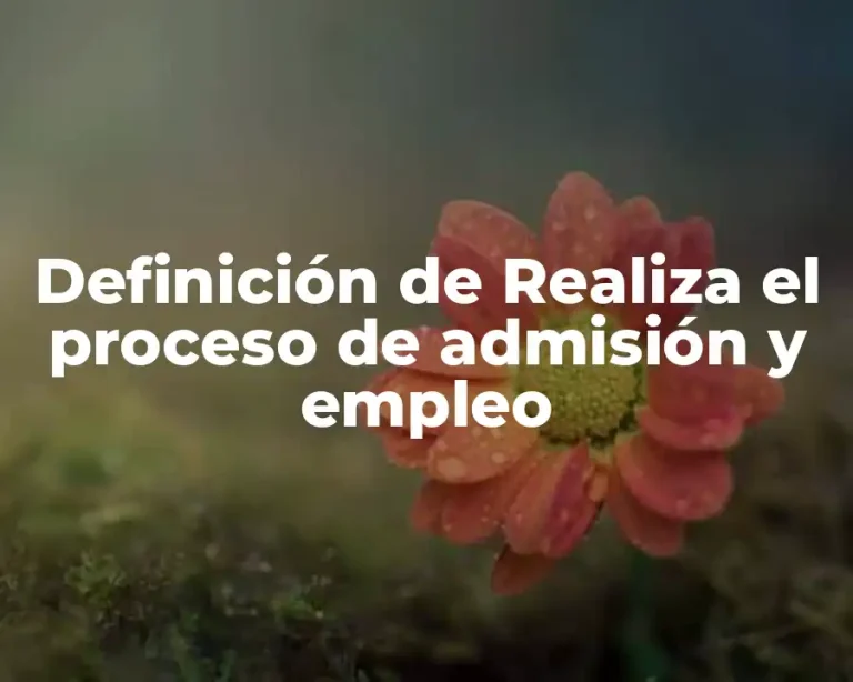 Definición de Realiza el proceso de admisión y empleo