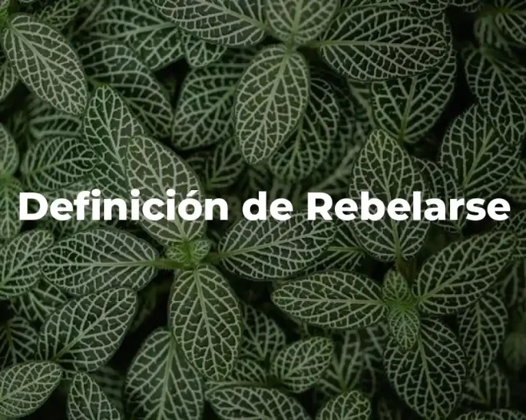 Definición de Rebelarse