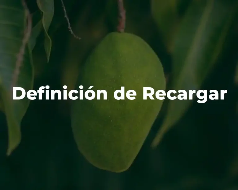 Definición de Recargar