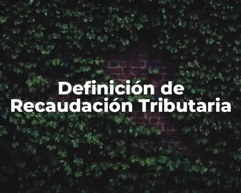 Definición de Recaudación Tributaria
