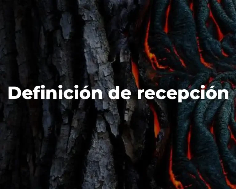 Definición de recepción
