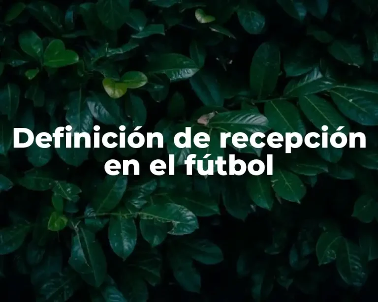 Definición de recepción en el fútbol