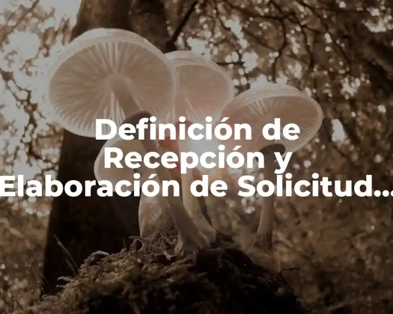 Definición de Recepción y Elaboración de Solicitud de Empleo