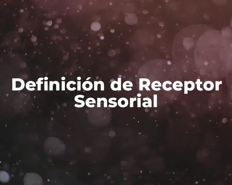 Definición de Receptor Sensorial