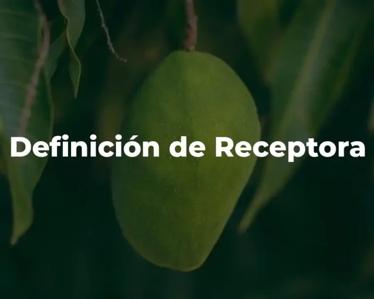 Definición de Receptora