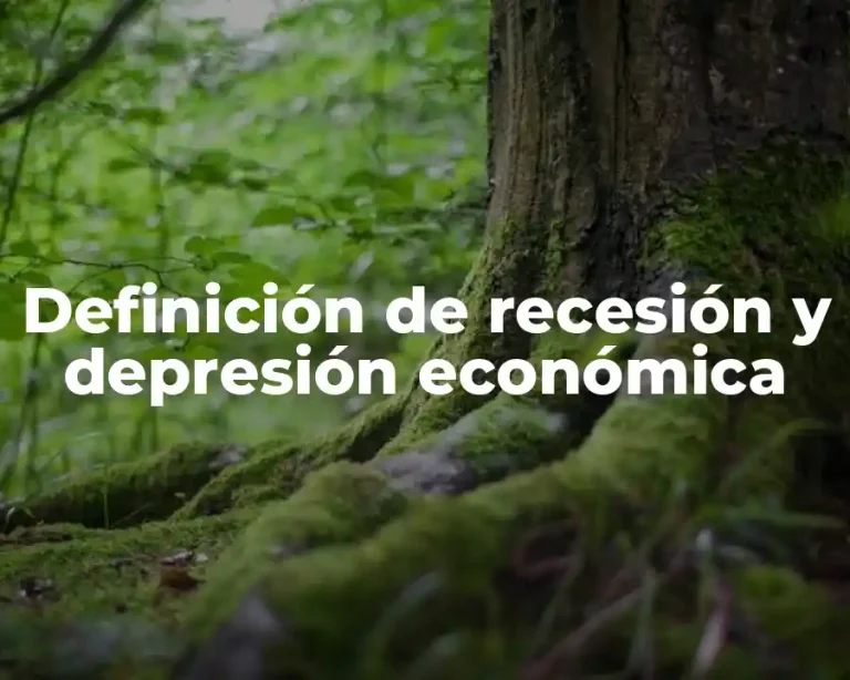 Definición de recesión y depresión económica