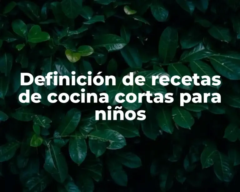 Definición de recetas de cocina cortas para niños