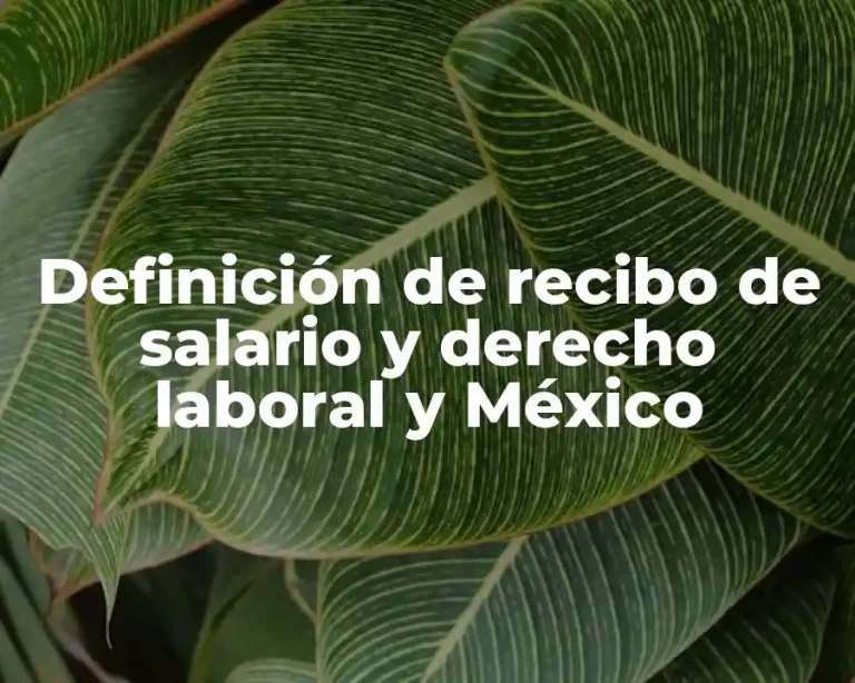 Definición de recibo de salario y derecho laboral y México