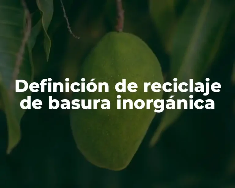 Definición de reciclaje de basura inorgánica