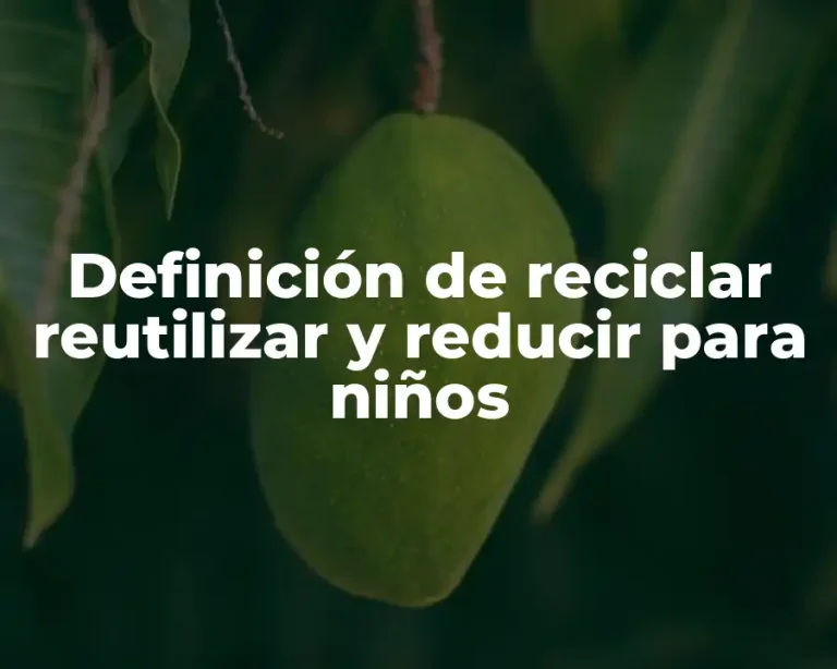 Definición de reciclar reutilizar y reducir para niños