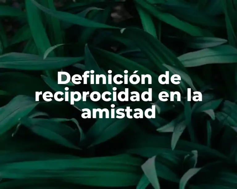 Definición de reciprocidad en la amistad
