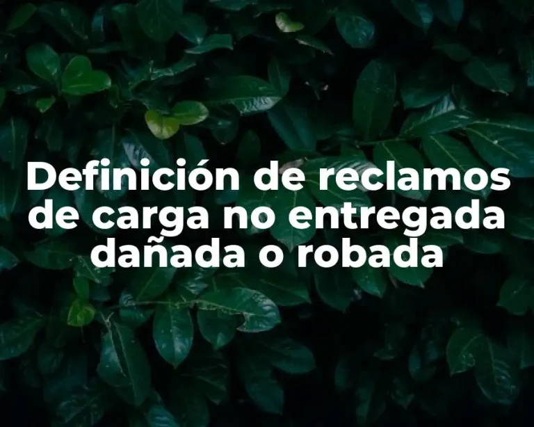 Definición de reclamos de carga no entregada dañada o robada