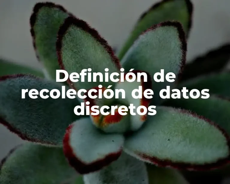 Definición de recolección de datos discretos