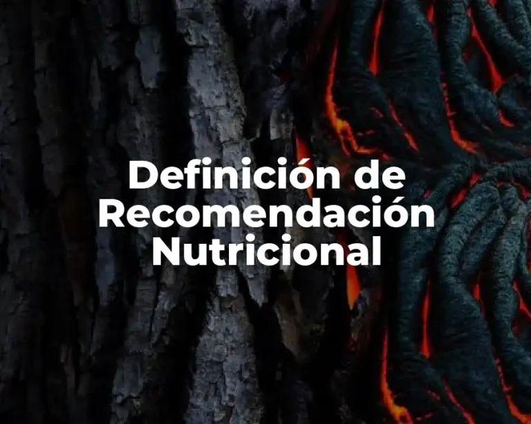 Definición de Recomendación Nutricional