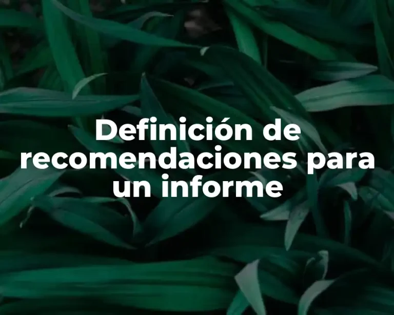 Definición de recomendaciones para un informe