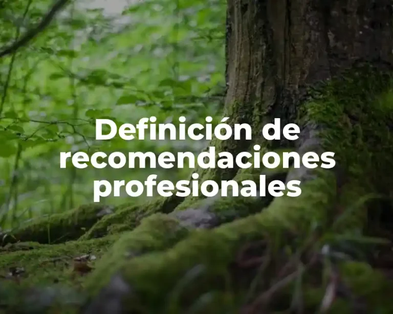 Definición de recomendaciones profesionales