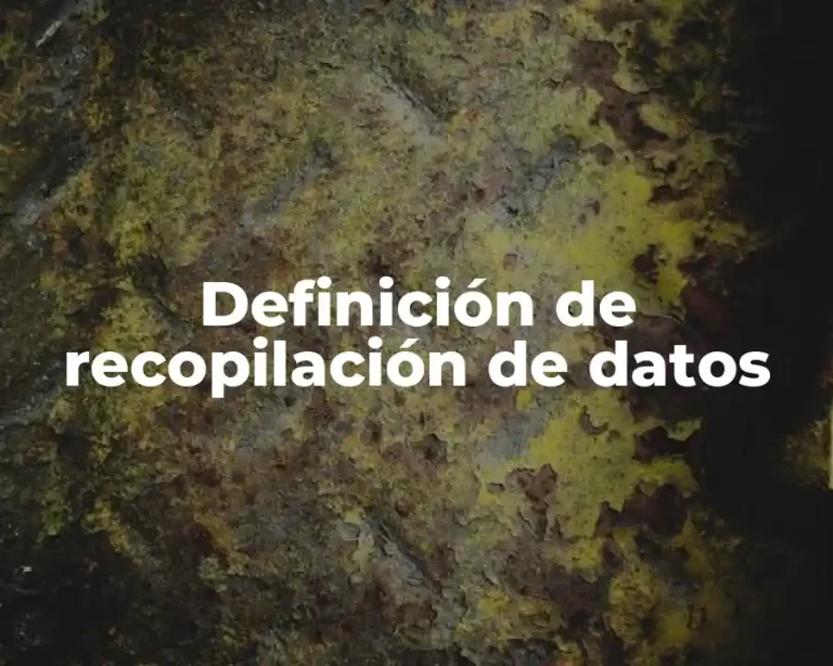 Definición de recopilación de datos