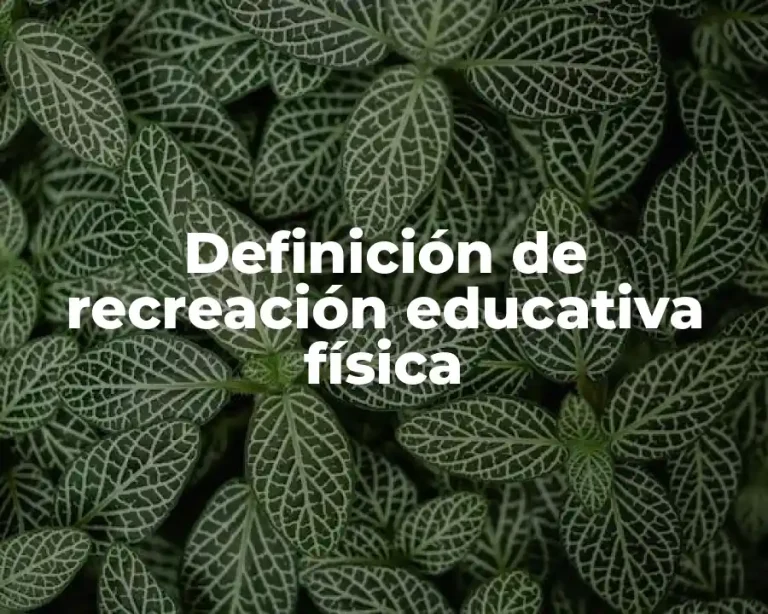 Definición de recreación educativa física