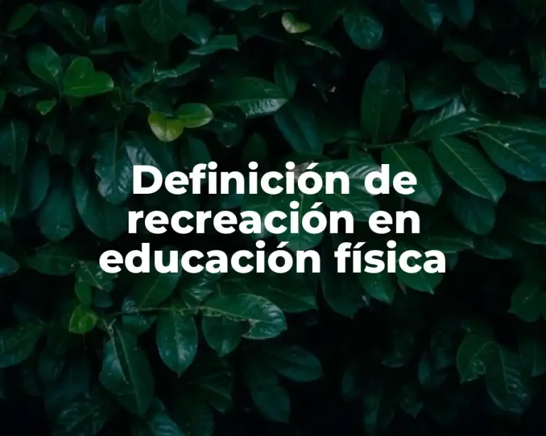 Definición de recreación en educación física