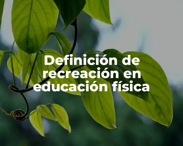 Definición de recreación en educación física