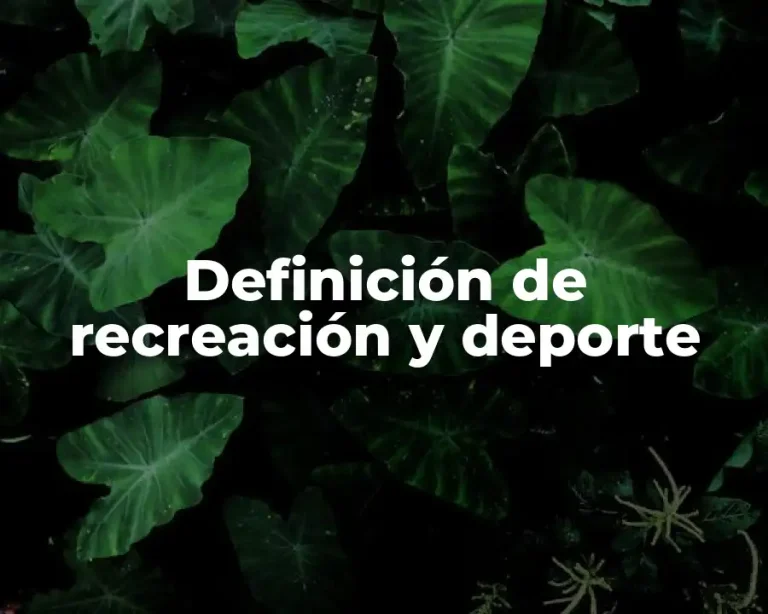 Definición de recreación y deporte