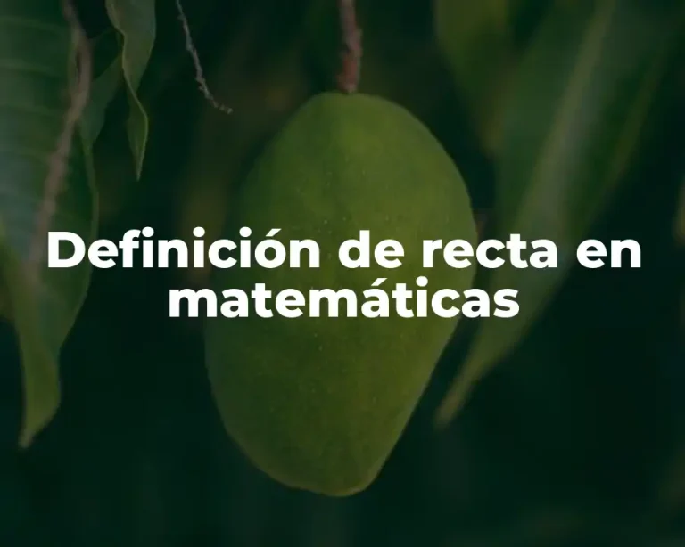Definición de recta en matemáticas