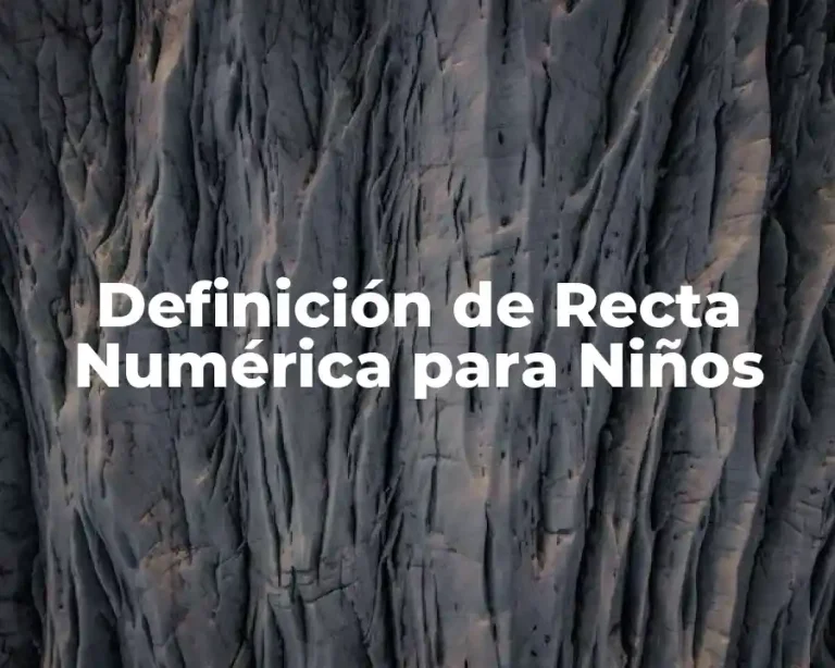 Definición de Recta Numérica para Niños