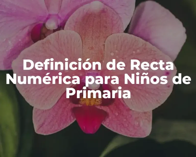 Definición de Recta Numérica para Niños de Primaria