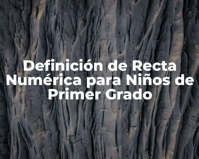 Definición de Recta Numérica para Niños de Primer Grado