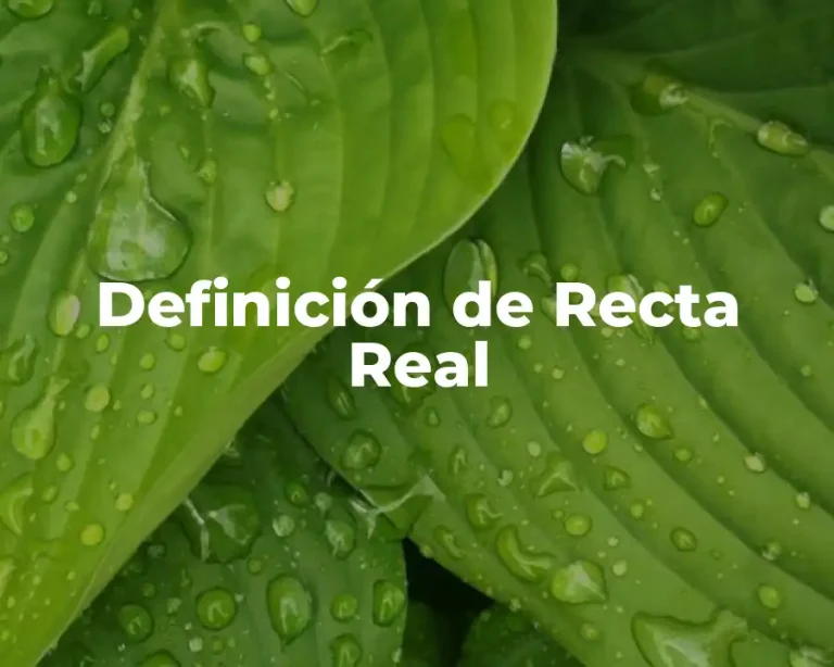 Definición de Recta Real
