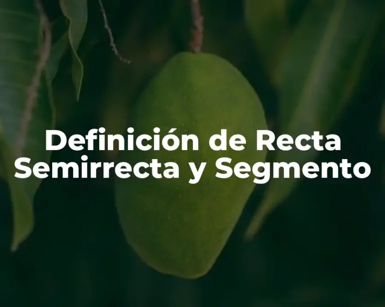 Definición de Recta Semirrecta y Segmento