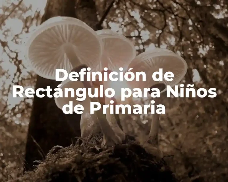 Definición de Rectángulo para Niños de Primaria