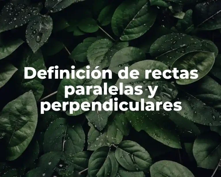Definición de rectas paralelas y perpendiculares
