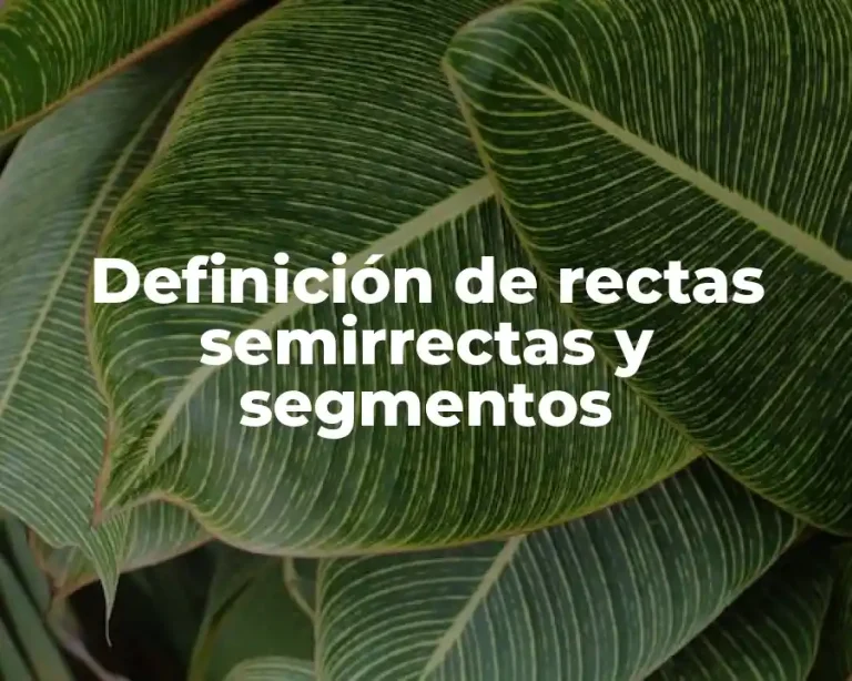 Definición de rectas semirrectas y segmentos