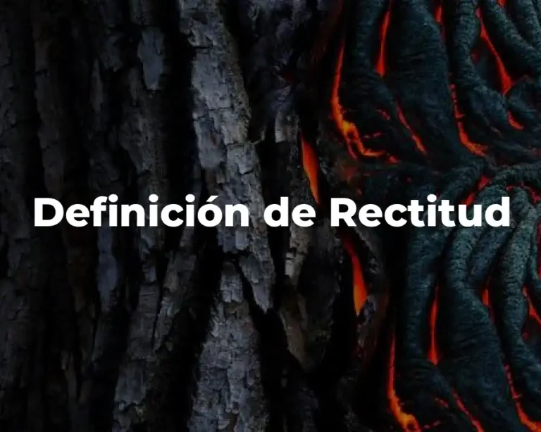 Definición de Rectitud