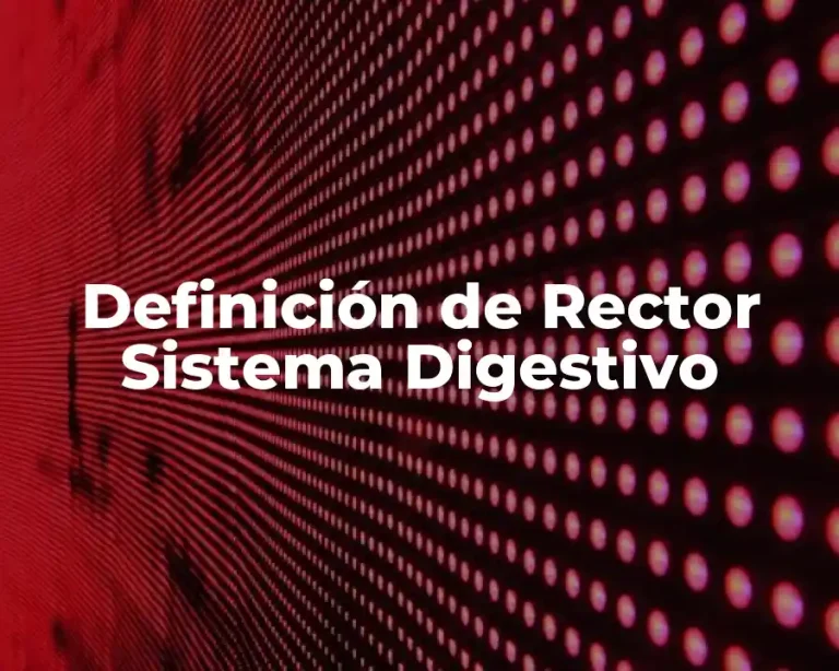 Definición de Rector Sistema Digestivo