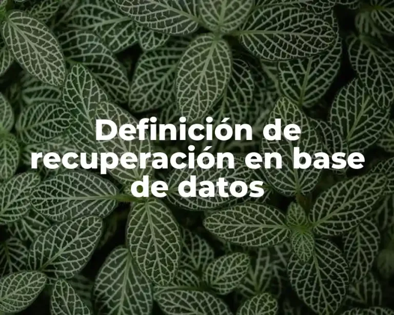 Definición de recuperación en base de datos