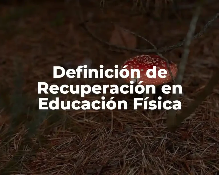 Definición de Recuperación en Educación Física