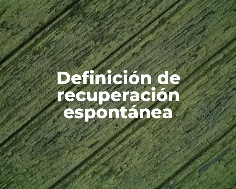 Definición de recuperación espontánea