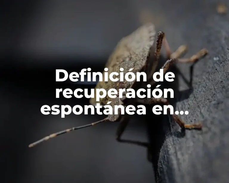 Definición de recuperación espontánea en psicología