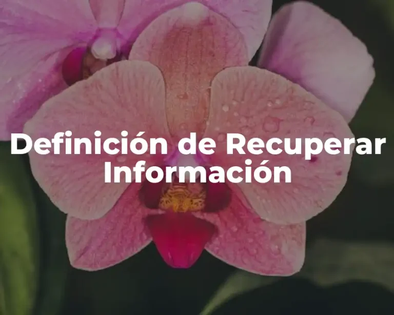 Definición de Recuperar Información
