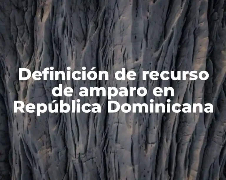 Definición de recurso de amparo en República Dominicana