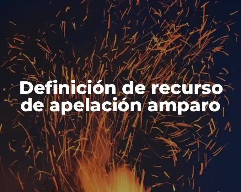 Definición de recurso de apelación amparo