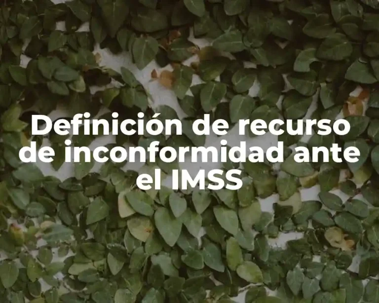 Definición de recurso de inconformidad ante el IMSS