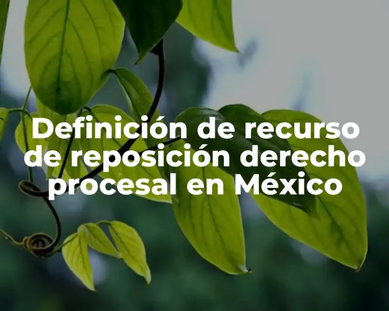 Definición de recurso de reposición derecho procesal en México